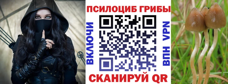 Галлюциногенные грибы мицелий  Купить где  Славск 